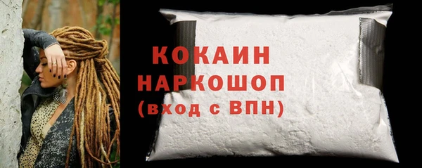 гидра Кодинск