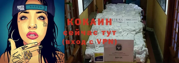 прущие грибы Козловка