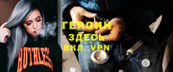 гидра Кодинск
