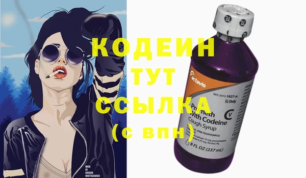 прущие грибы Козловка