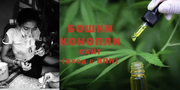 прущие грибы Козловка