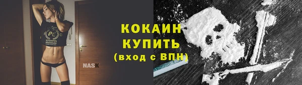 гидра Кодинск