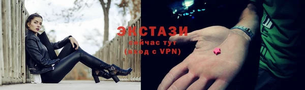 гидра Кодинск
