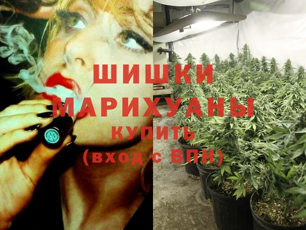 гидра Кодинск