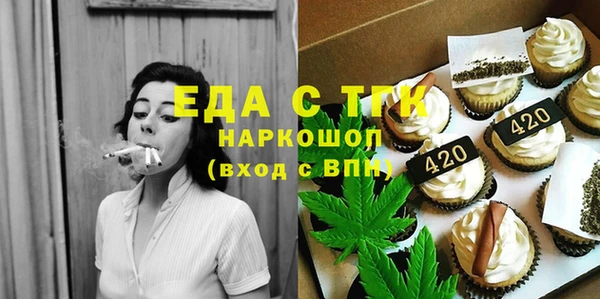гидра Кодинск