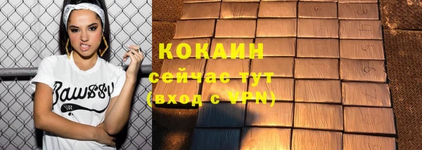 гидра Кодинск