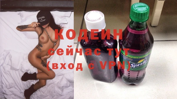 гидра Кодинск