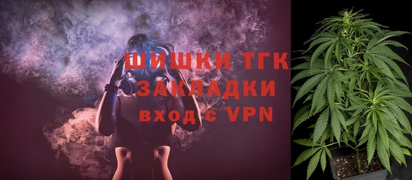 прущие грибы Козловка