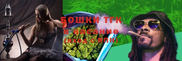 гидра Кодинск