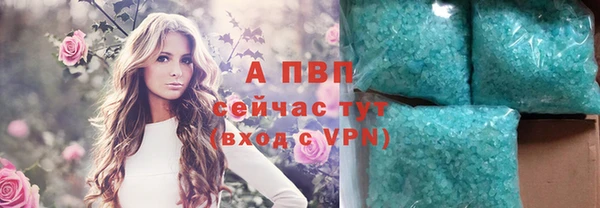 гидра Кодинск