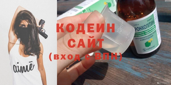 прущие грибы Козловка